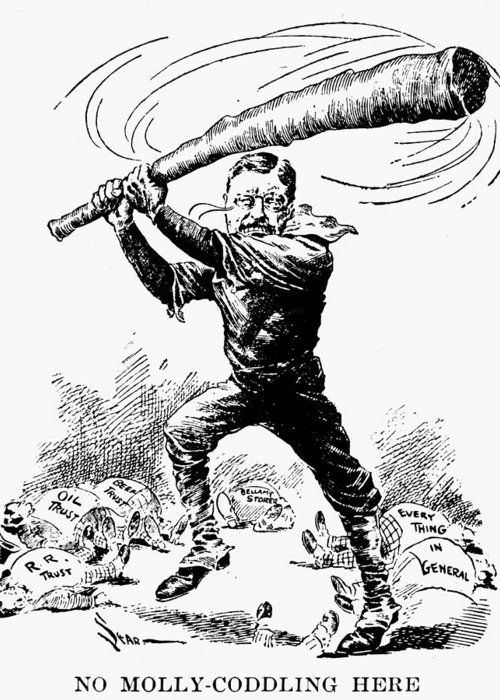 3-roosevelt-cartoon-1904-granger.jpg