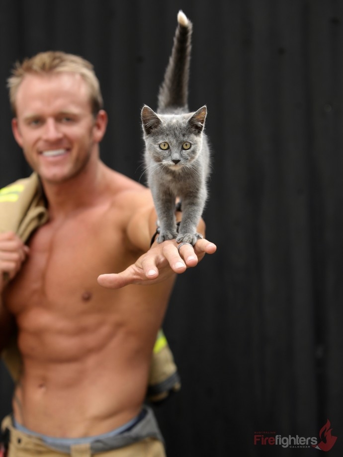 australian-firefighters-pose-with-cats-for-2019-charity-calendar-and-it-s-every-cat-lady-s-dre...jpg