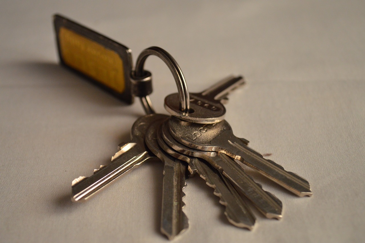 bunch-of-keys-390979_1280.jpg