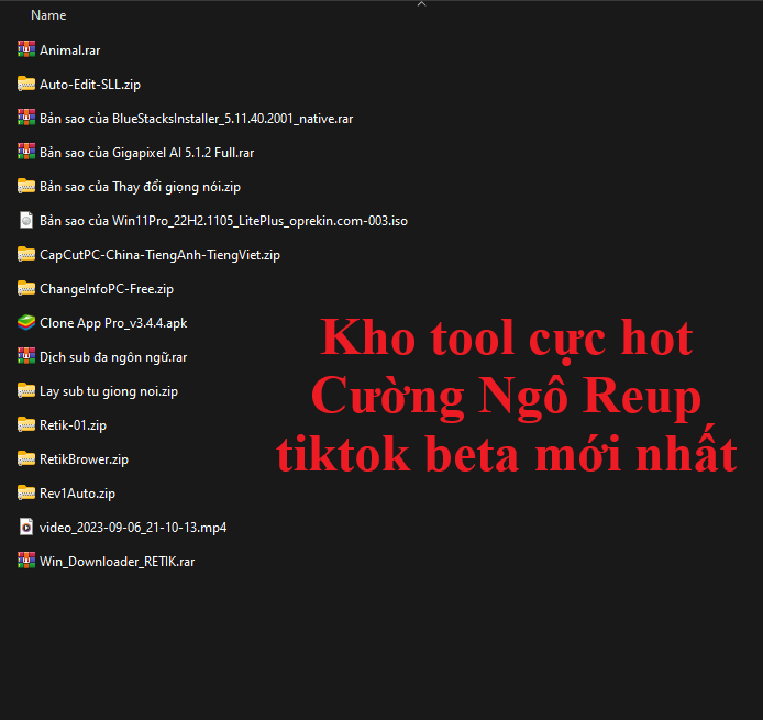 Kho tool cực hot Cường Ngô Reup tiktok beta mới nhất.png