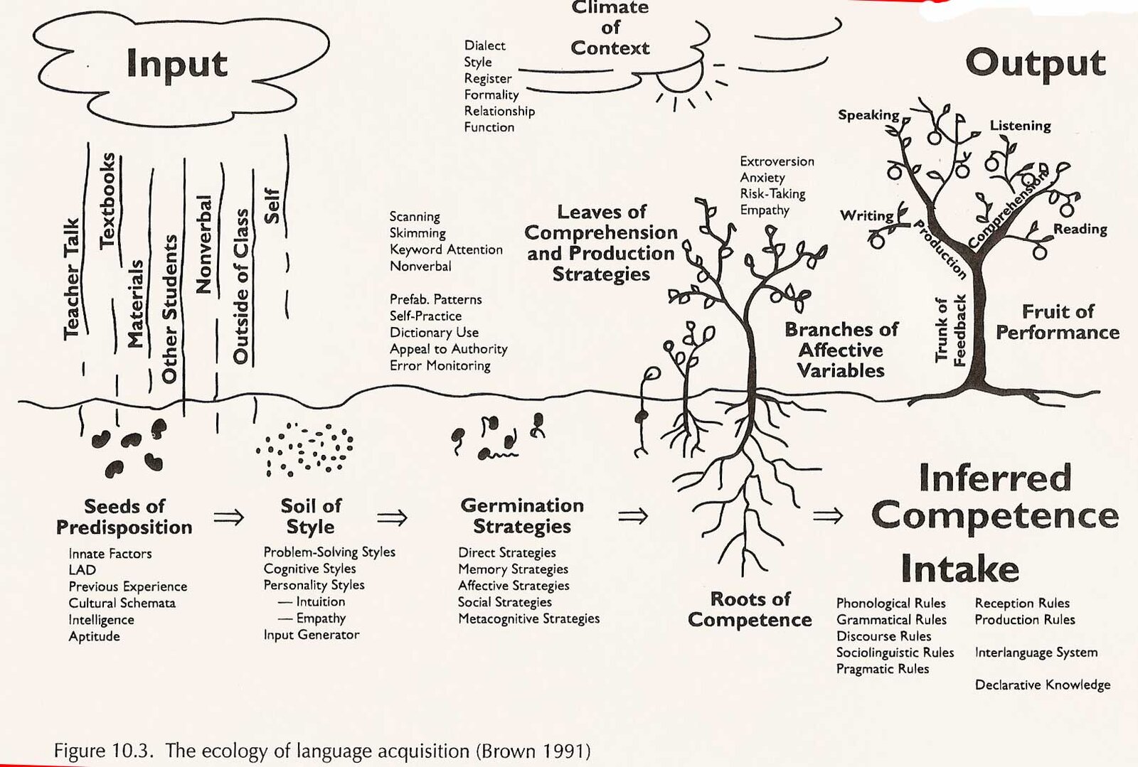 The Ecology of Language Aquisition.jpg