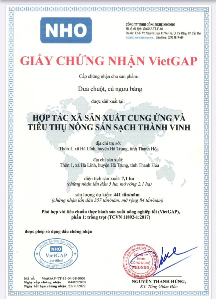 Vietgap-hop tac xa THANH VINH.jpg