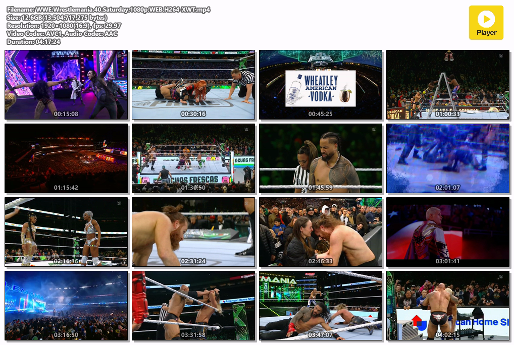 WWE.Wrestlemania.40.Saturday.1080p.WEB.H264-XWT.mp4.png