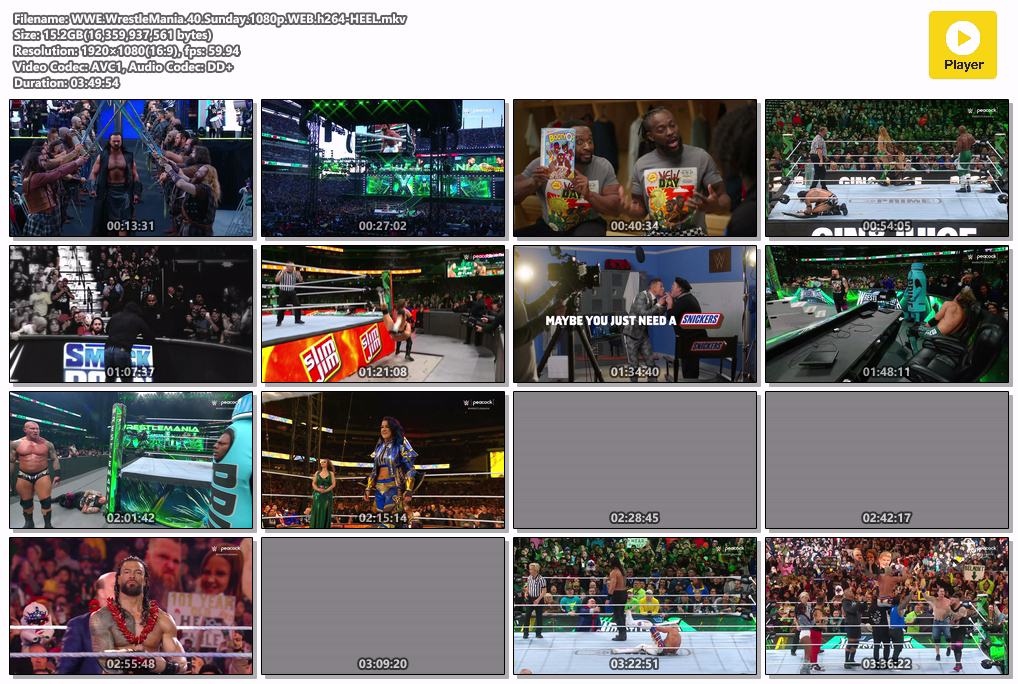 WWE.WrestleMania.40.Sunday.1080p.WEB.h264-HEEL.mkv.png
