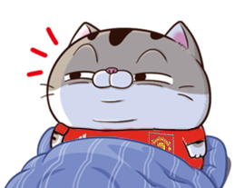 m95QHLF.png