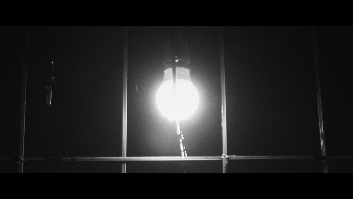 2020ae272d25-2966-4b27-8669-df21ca3bd316.png