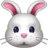 🐰