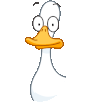 njderEC.gif