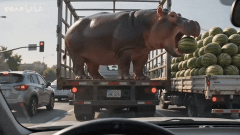 0215de6586398fed244b682eb13b85e8.gif