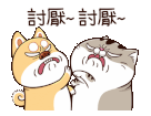 ttPNuzJ.gif