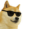 CpWIVKH.gif