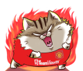 uFY6Zzp.png