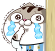 yVQ4fXB.png