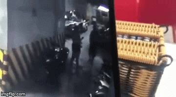 39mglg-15675605991961713952707.gif