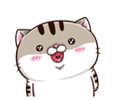 K5N6mC5.png