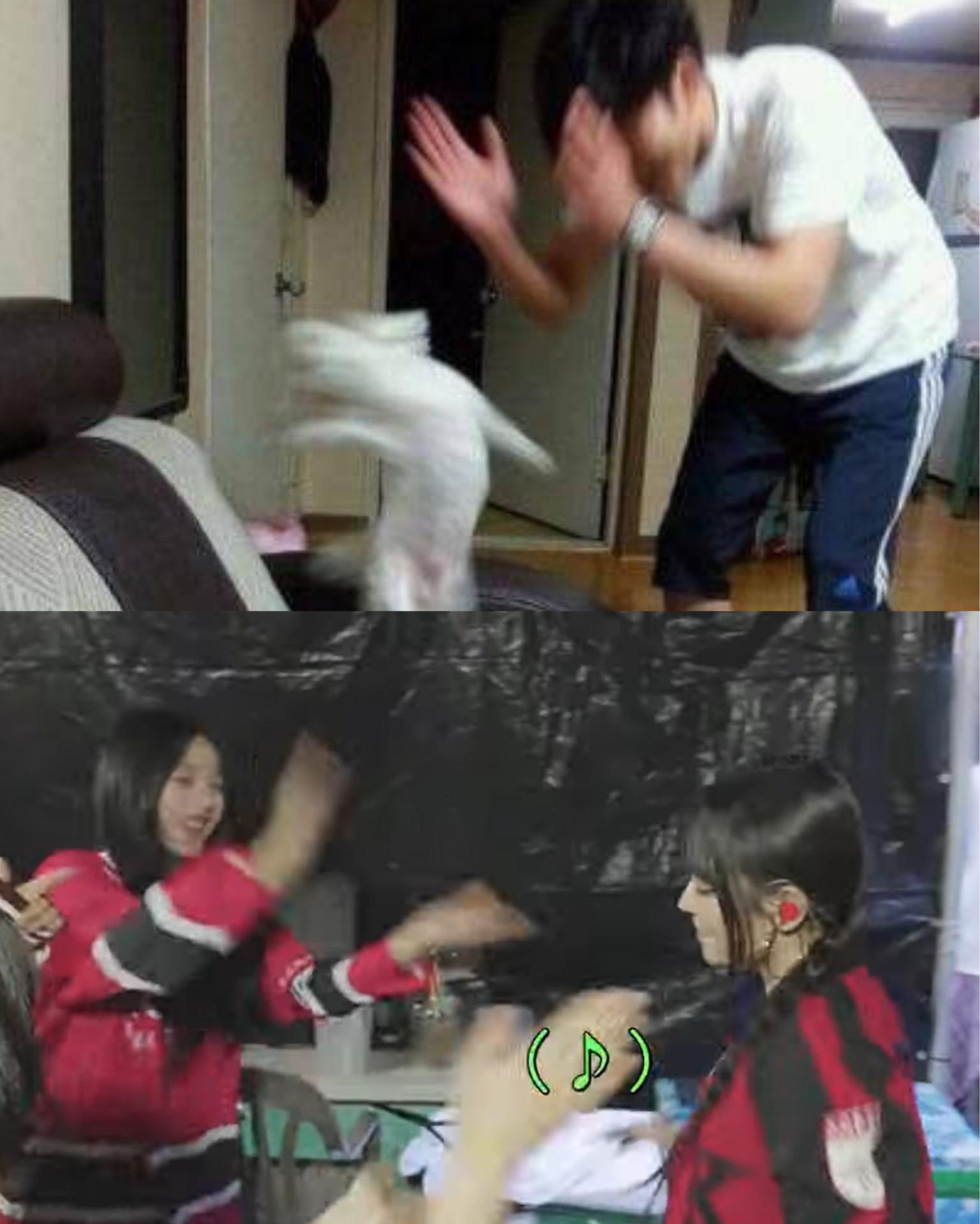 Fsq4ouo.jpeg