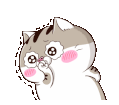 qdPxSXZ.gif