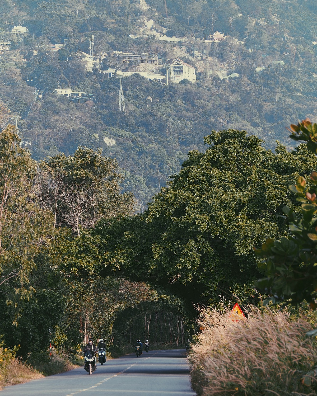 2021a65e099e-9f93-4576-8c31-c552dcd8e56a.jpg