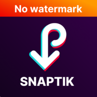 vn.snaptik.com