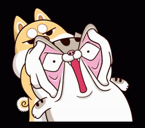 ami-fat-cat-fgcat-look-gif-19319528.gif