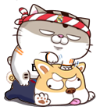 SKA599d.png