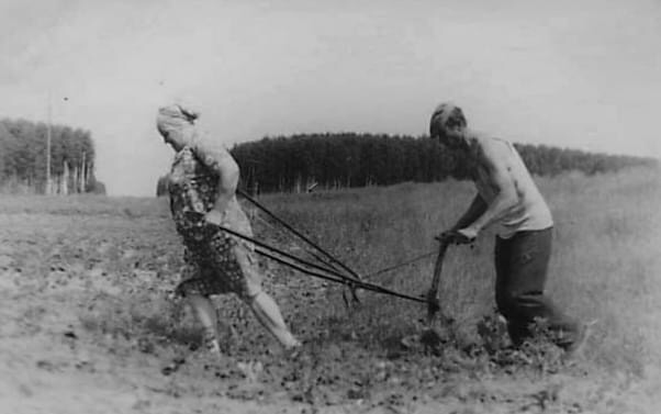 202118c17755-df9e-410e-a506-9f972a55c096.png