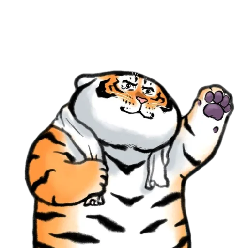 w72c9LB.png