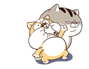 1dxDw3v.gif