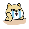 kFGXoHB.png
