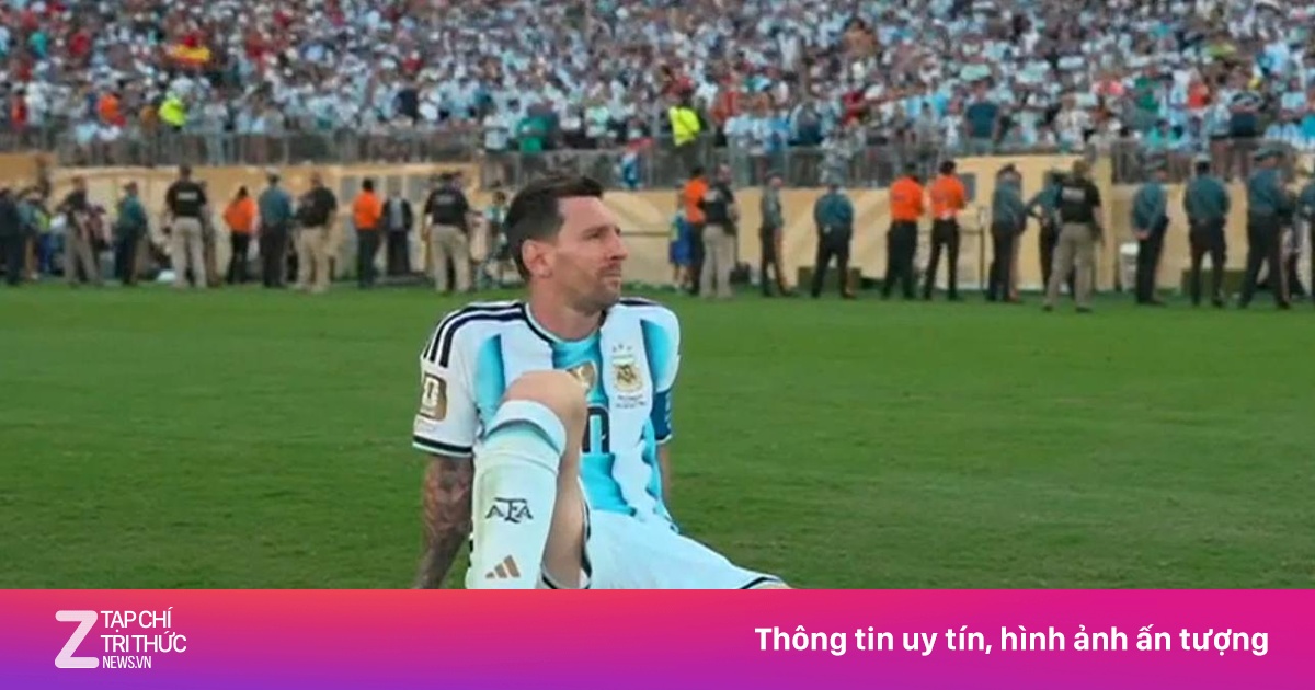 znews.vn