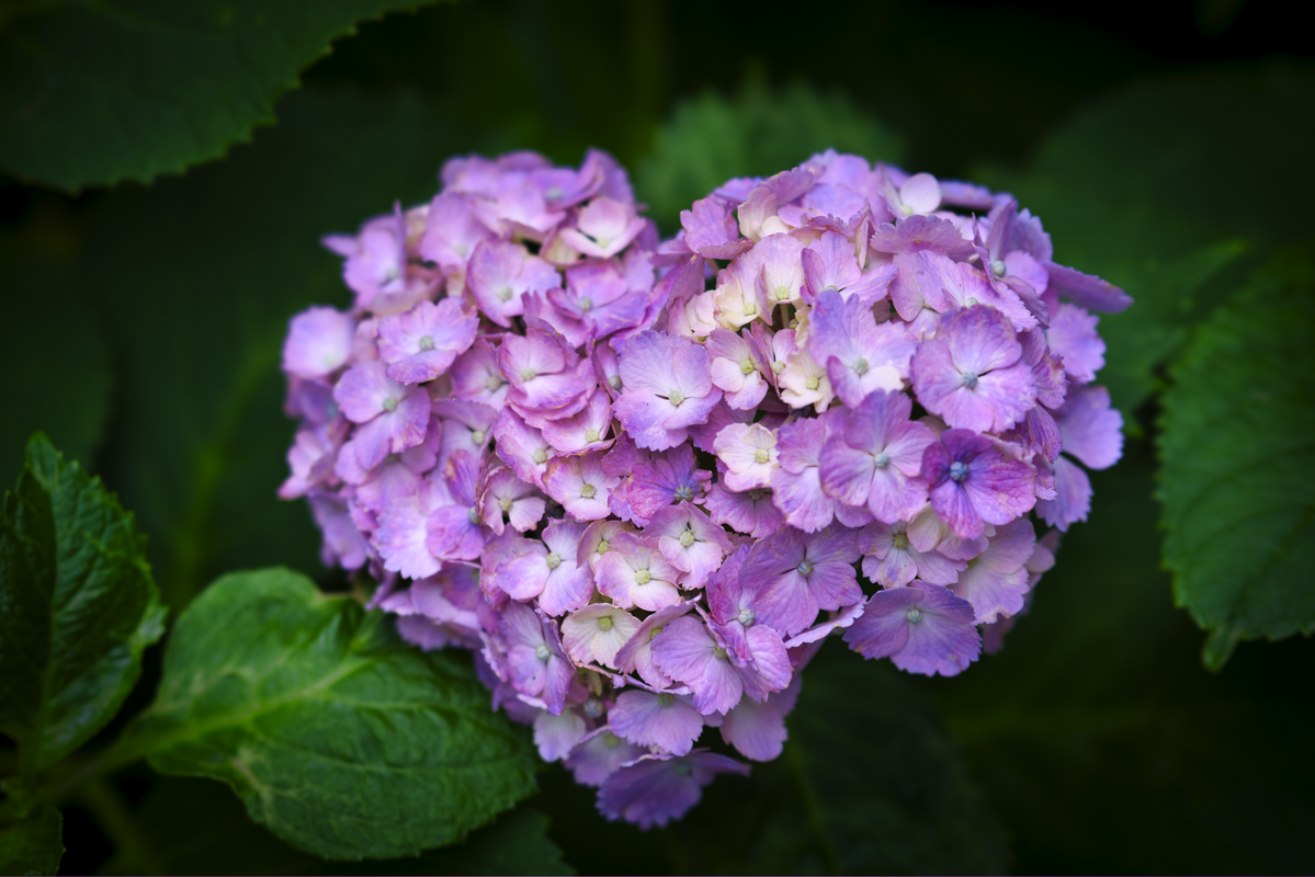 DSC04542-small.png