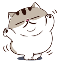 bJs9q9t.png