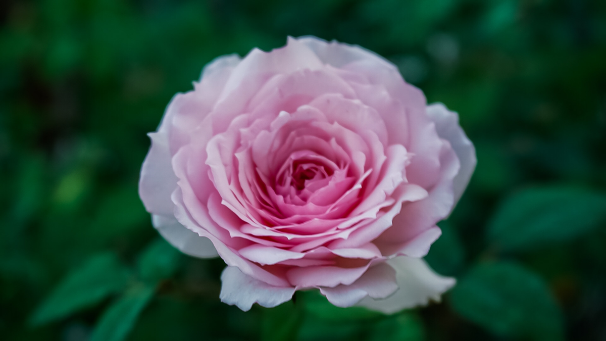 2021a231e43a-082e-4024-97fd-d28c9ae9efa7.png