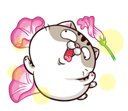 b5QFUrZ.png