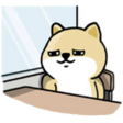 VQDvNYL.png