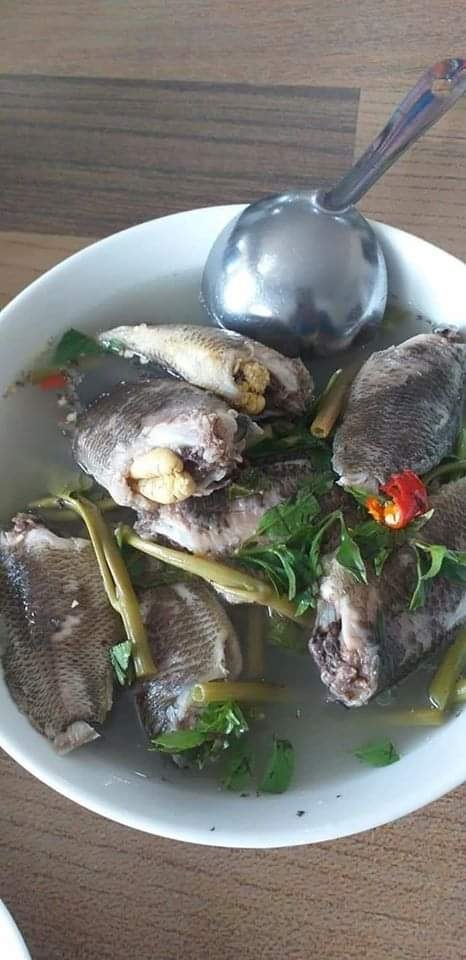 pXYgGJi.jpg