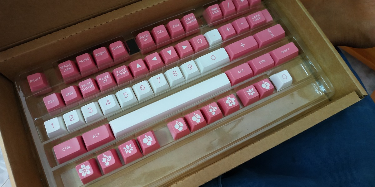 202050c15cd0-b60a-4e9f-b6df-dc7db20b14fd.jpg