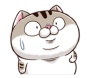 n7jkcv5.png