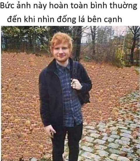 SbDLmhJ.jpg