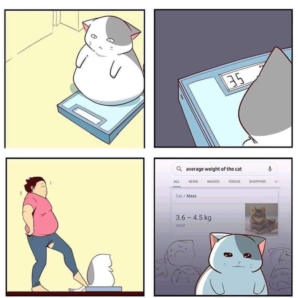 InGFogd.jpg