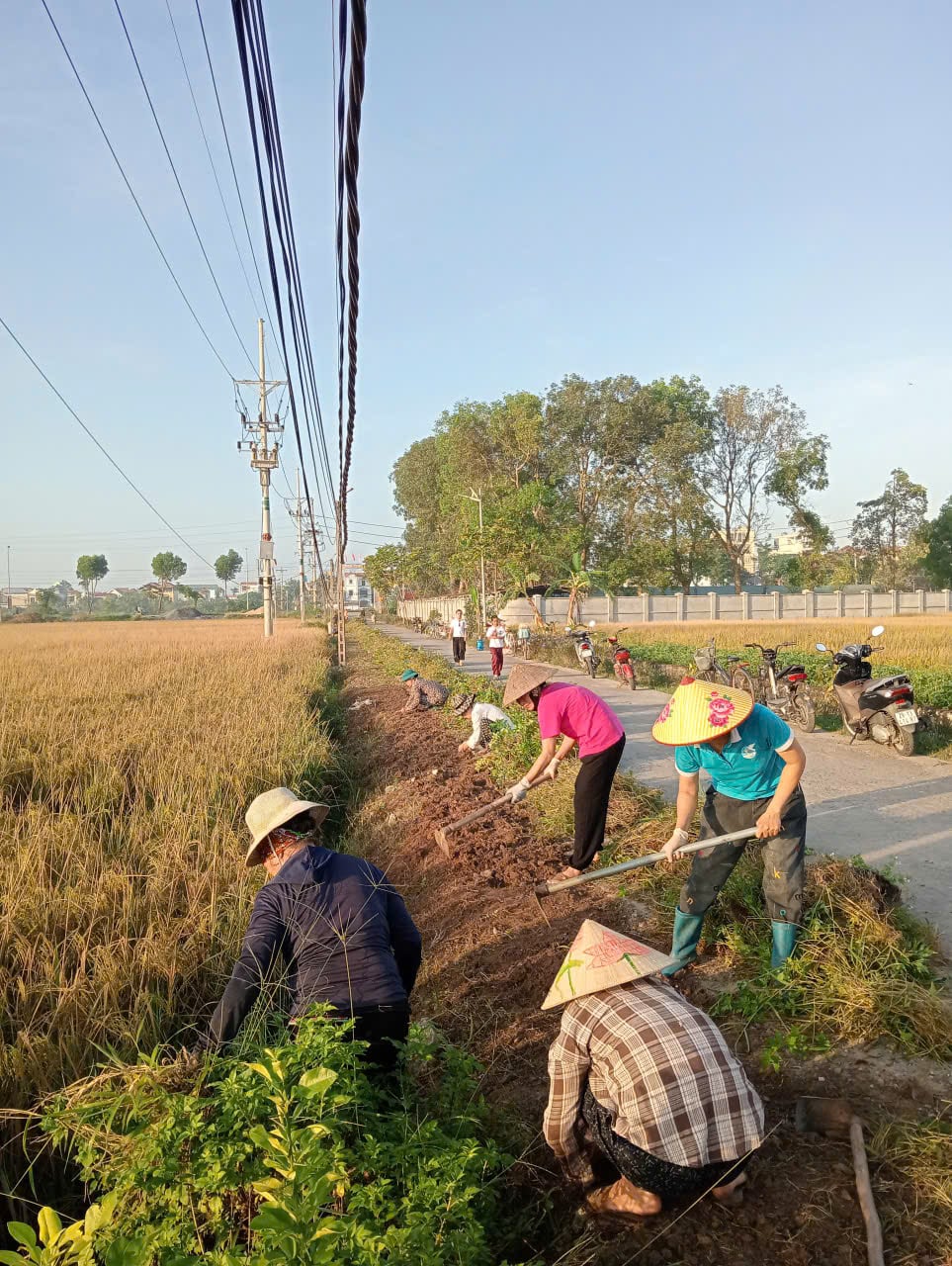 thon-mieng-ha-1145.jpg