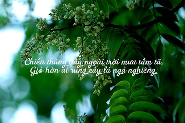 Tháng 7 mưa ngâu 