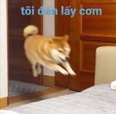 t6Zoygv.png