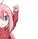 SRBogCi.gif