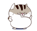 tmZBfjO.gif