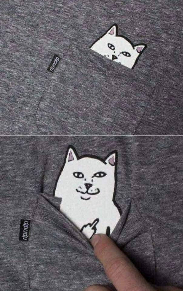 ZTUEGMf.jpg