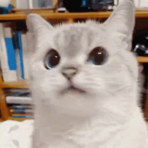 ER41Soi.gif