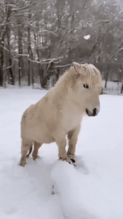 3dbfe50c02e5fadc598543f1a618c466.gif