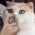 0TrxoQv.gif