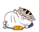 bKdDd1K.gif